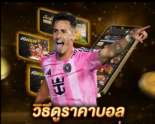 0.5-1 เจาะลึกวิธีการดูทุกแบบ
